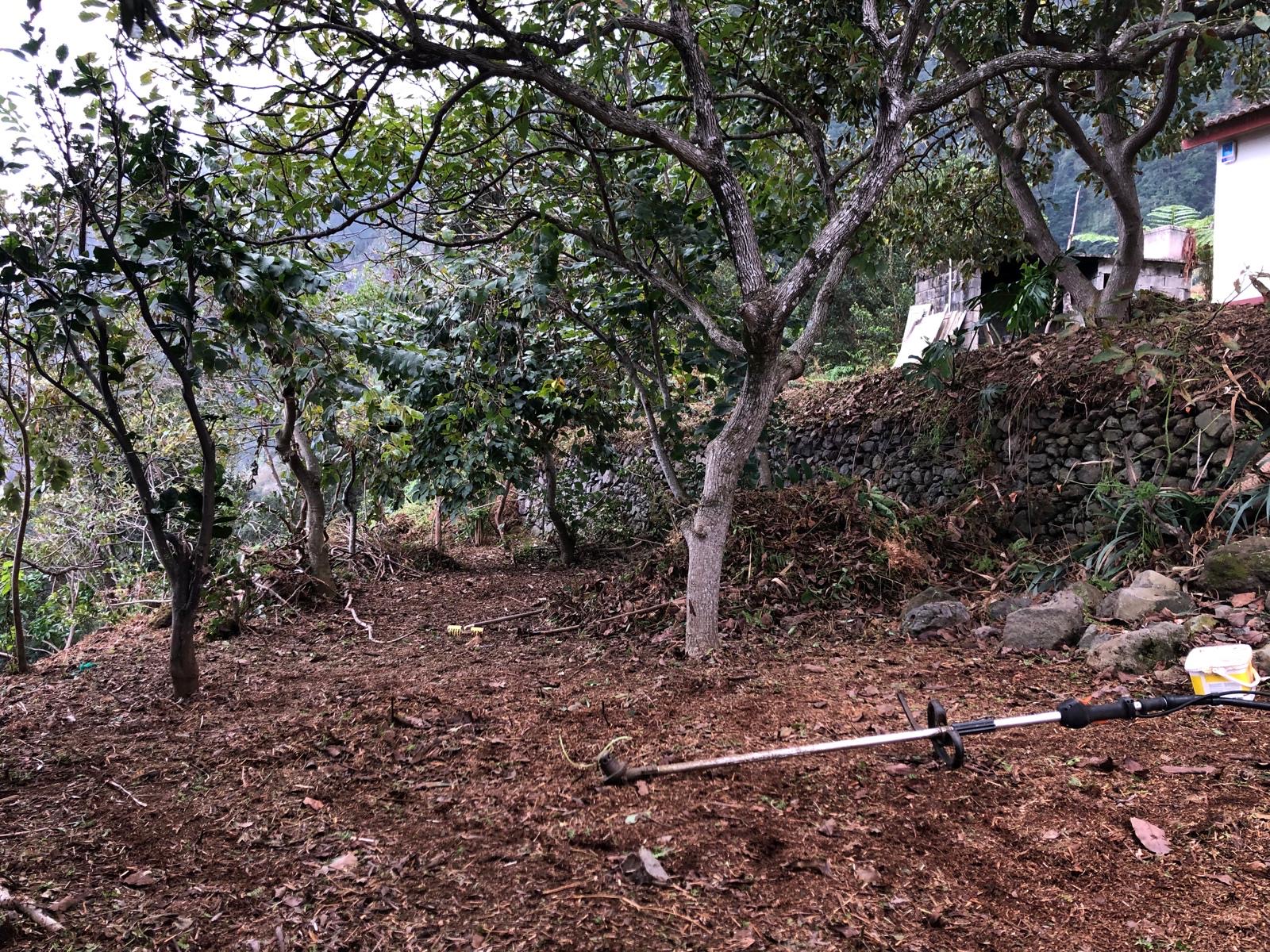 Actual garden photograph · before development